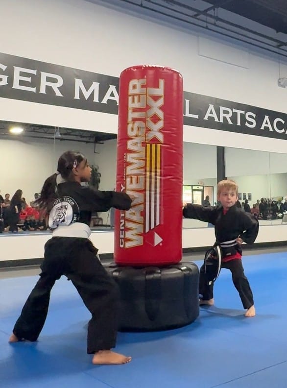 White Tiger Martial Arts Academy Schedule image
