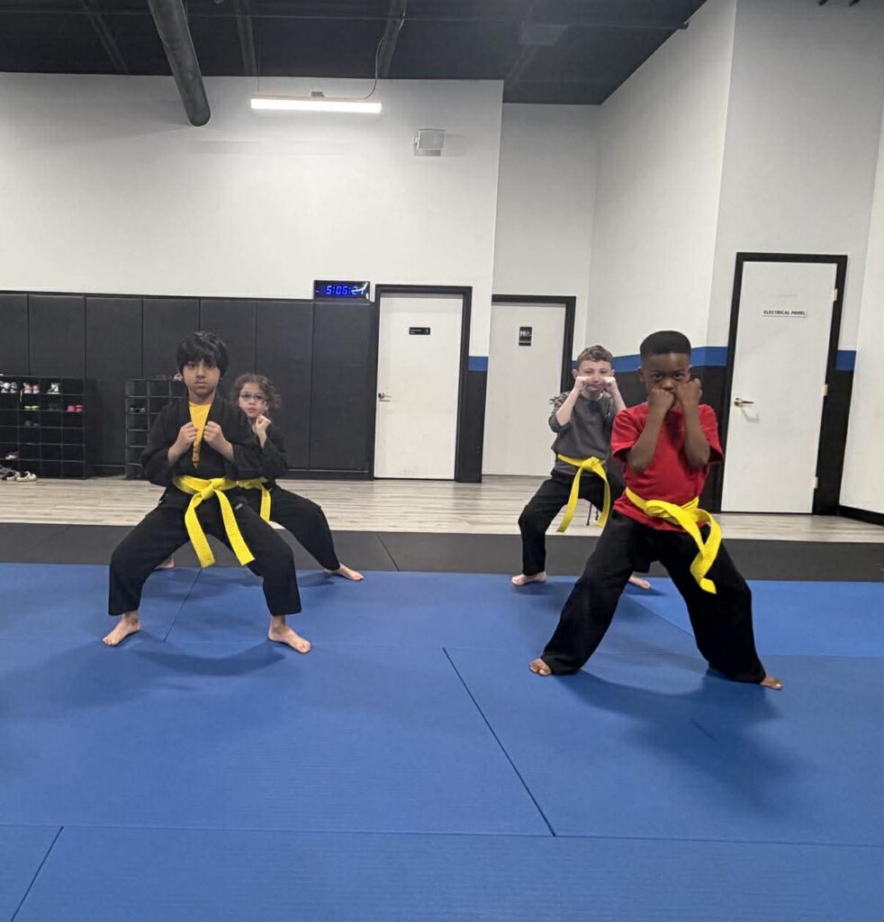 White Tiger Martial Arts Academy Gallery Photo Number 2