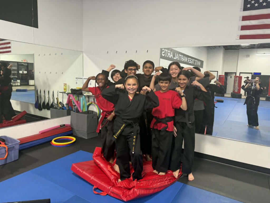 White Tiger Martial Arts Academy Gallery Photo Number 1